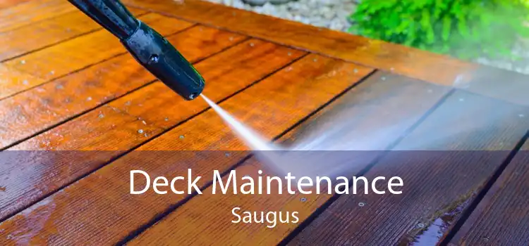 Deck Maintenance Saugus