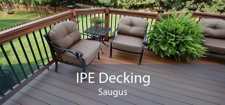 IPE Decking Saugus